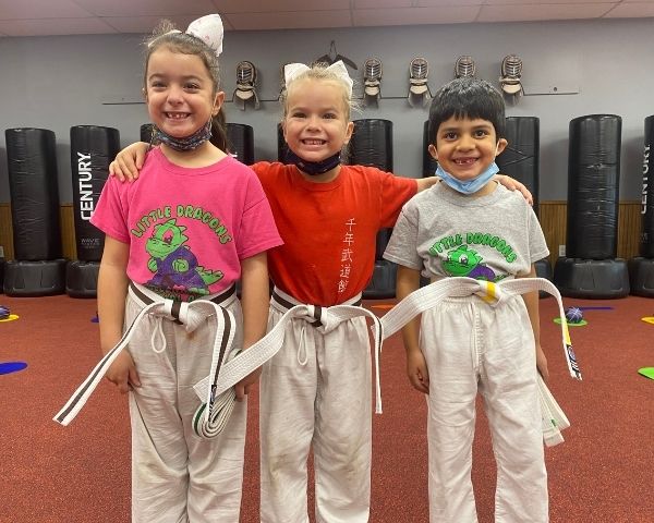 Little Dragons Karate Ages 3-6